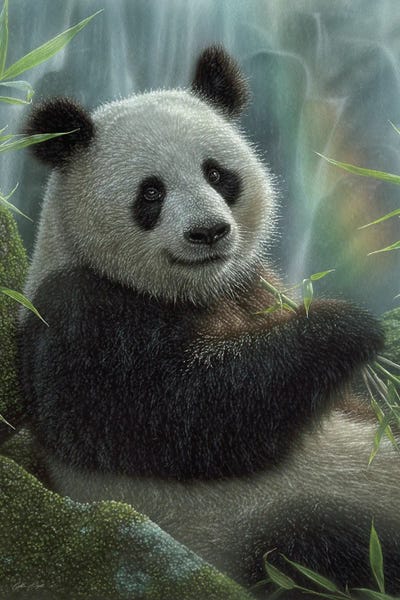 Rainbows: Panda Paradise - Vertical by Collin Bogle