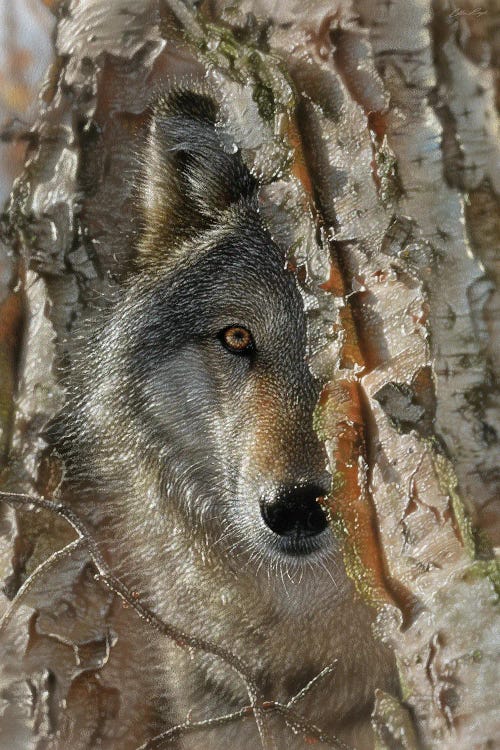 Close Encounter Wolf Vertical