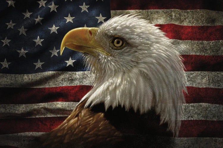 Distressed American Flag Eagle - Horiz - Canvas Artwork