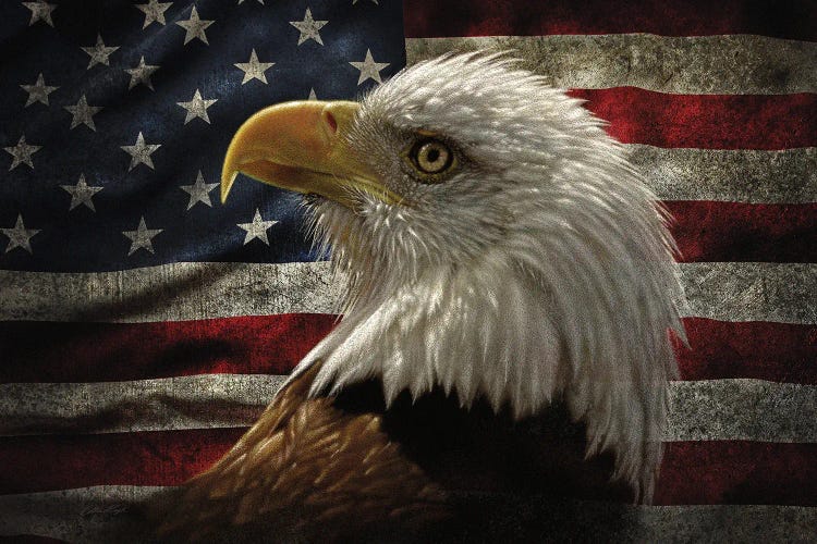 Distressed American Flag Eagle - Horizontal