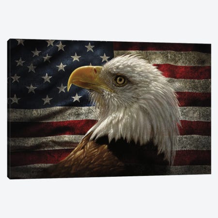 Distressed American Flag Eagle - Horizontal Canvas Print #CBO168} by Collin Bogle Canvas Artwork