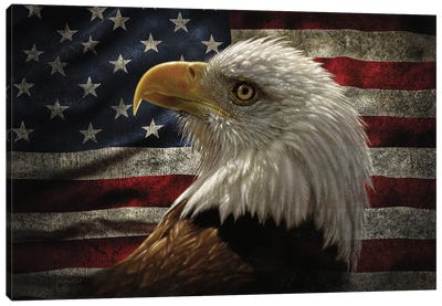 Distressed American Flag Eagle - Horizontal Canvas Art Print - American Décor