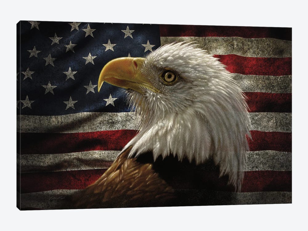 Distressed American Flag Eagle - Horizontal by Collin Bogle 1-piece Canvas Art Print