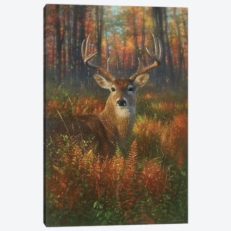Autumn Buck Whitetail Deer Canvas Print #CBO170} by Collin Bogle Canvas Art Print