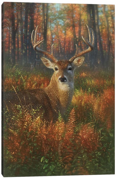 Autumn Buck Whitetail Deer Canvas Art Print