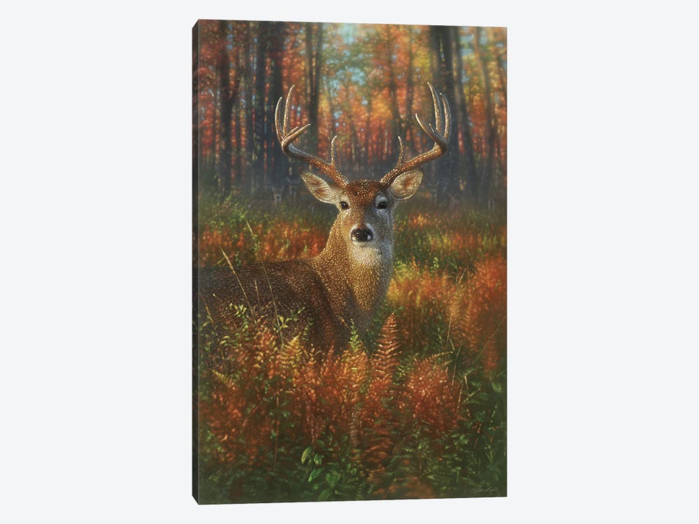 Autumn Buck Whitetail Deer by Collin Bogle 1-piece Canvas Art