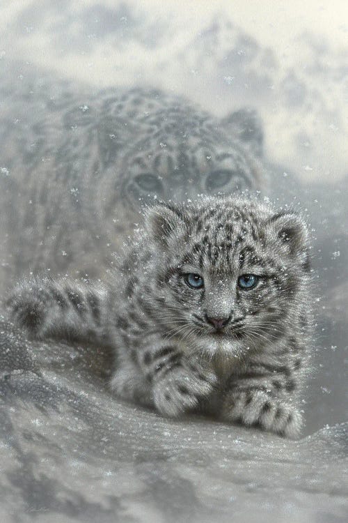 First Steps - Snow Leopard Cub - Vertical