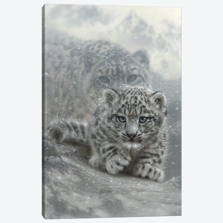 First Steps - Snow Leopard Cub - Vertical Canvas Print #CBO171} by Collin Bogle Canvas Print