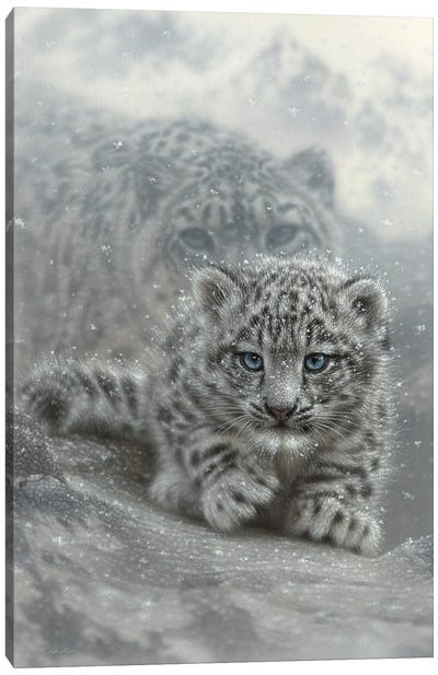 First Steps - Snow Leopard Cub - Vertical Canvas Art Print - Leopard Art