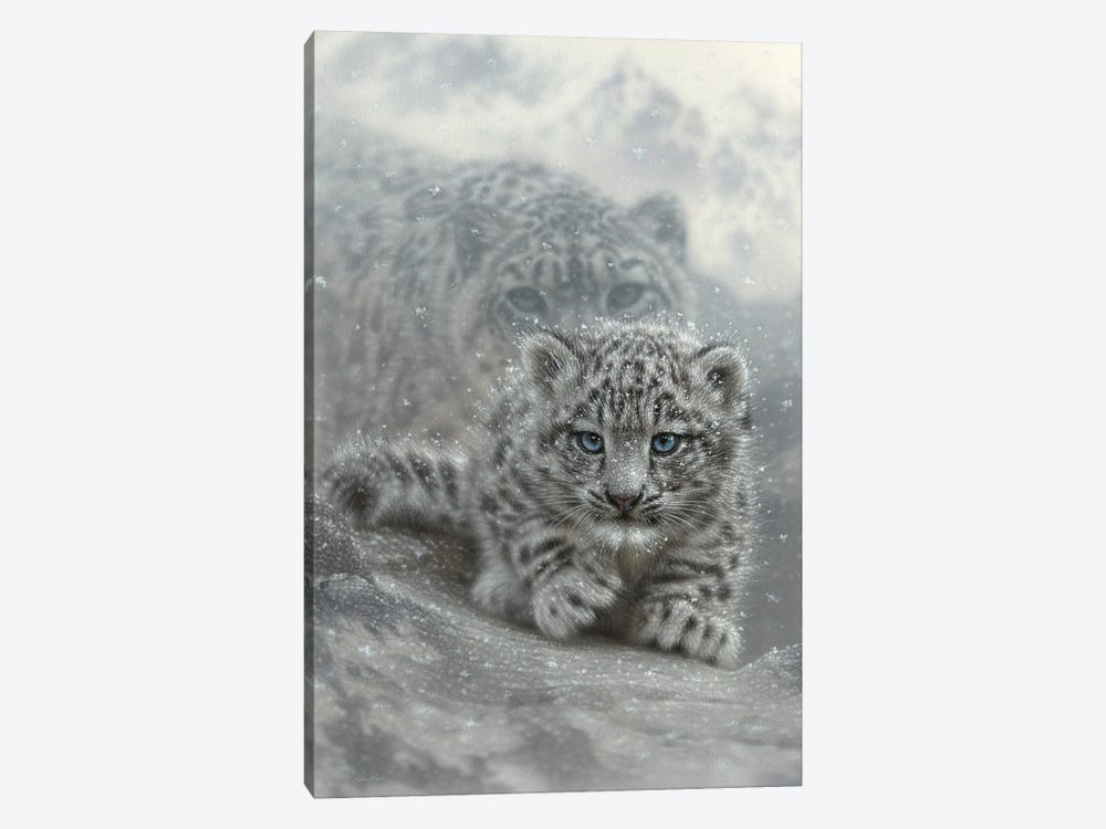First Steps - Snow Leopard Cub - Vertical by Collin Bogle 1-piece Canvas Art Print