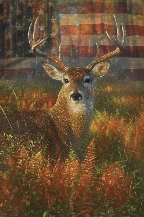 Autumn Buck America by Collin Bogle wall art