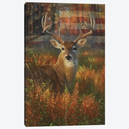 Autumn Buck America Canvas Print #CBO174} by Collin Bogle Canvas Art