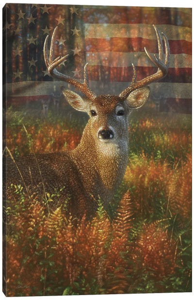 Autumn Buck America Canvas Art Print - Flag Art