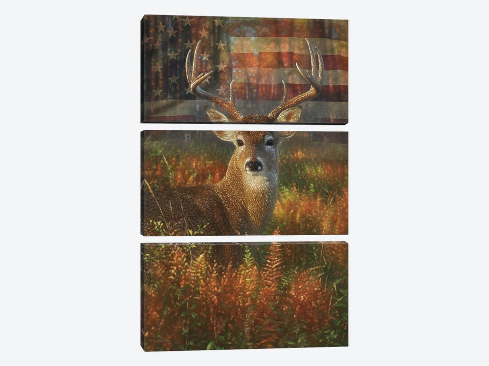 Autumn Buck America 3-piece Canvas Art