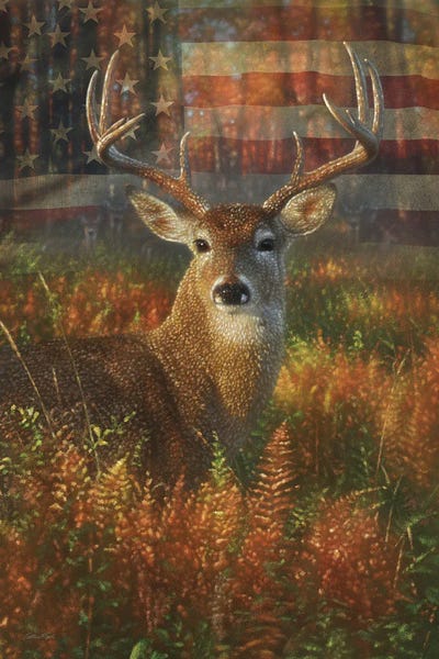 Deer: Autumn Buck America by Collin Bogle