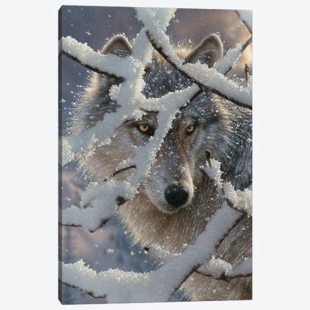 Winter Wolf - Vertical Canvas Print #CBO180} by Collin Bogle Canvas Art