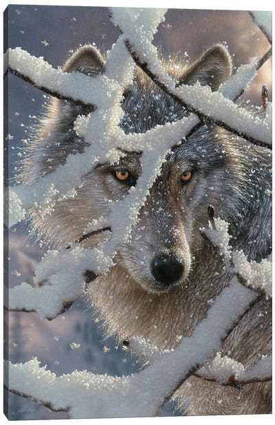 Winter Wolf - Vertical Canvas Art Print - Collin Bogle