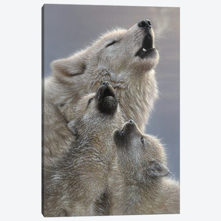 Wolf Singing Lessons Canvas Print #CBO182} by Collin Bogle Canvas Artwork