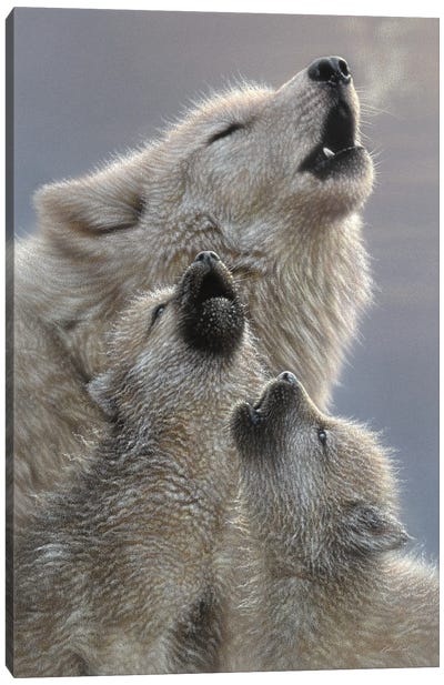 Wolf Singing Lessons Canvas Art Print - Wolf Art