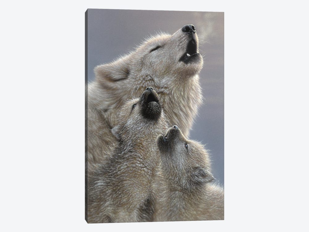 Wolf Singing Lessons by Collin Bogle 1-piece Canvas Print