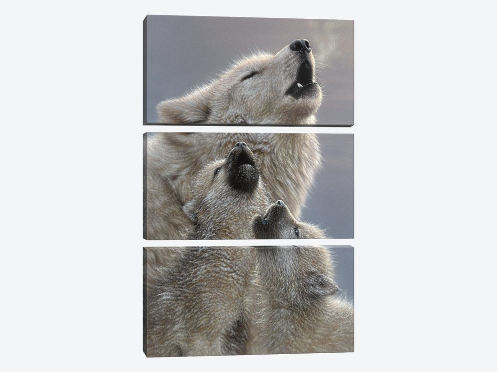 Wolf Singing Lessons by Collin Bogle 3-piece Canvas Print