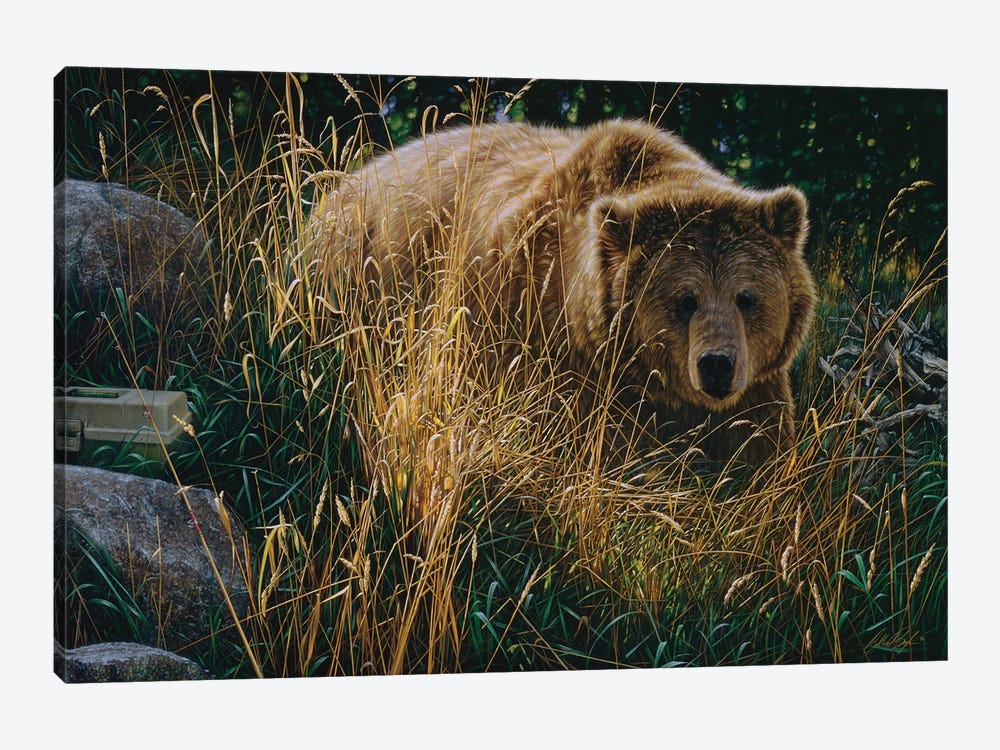 Brown Bear Crossing Paths - Horizontal by Collin Bogle 1-piece Canvas Art