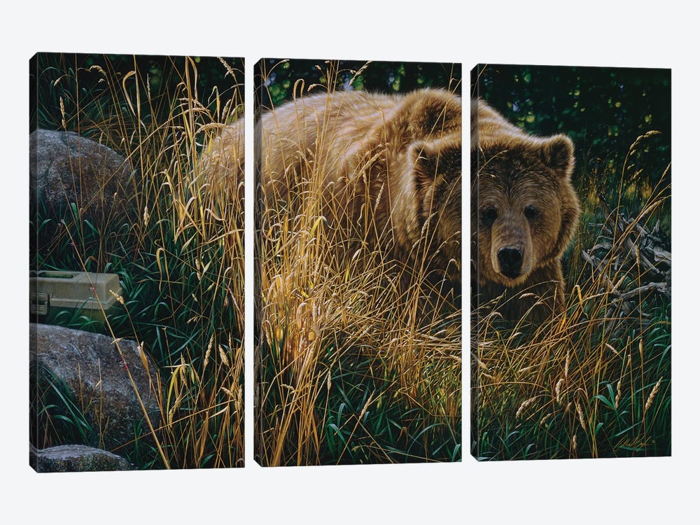 Brown Bear Crossing Paths - Horizontal by Collin Bogle 3-piece Canvas Wall Art