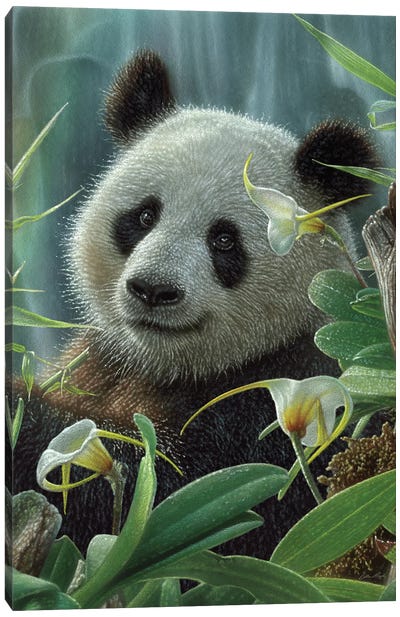 Tropical Panda Bear Canvas Art Print - Panda Art