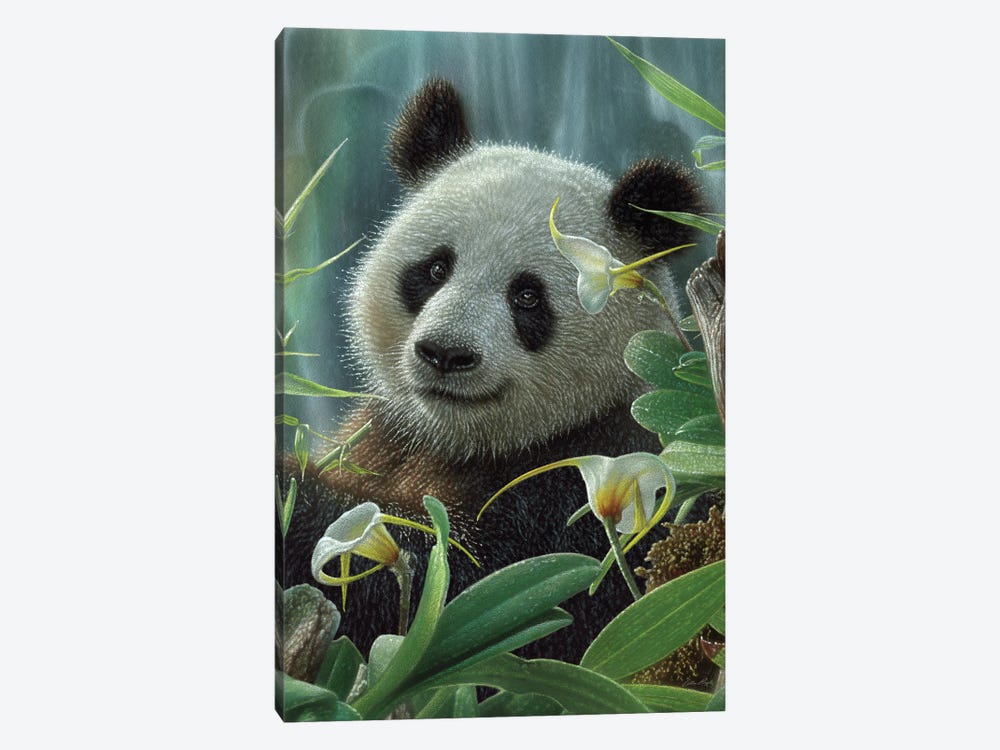 Tropical Panda Bear by Collin Bogle 1-piece Art Print