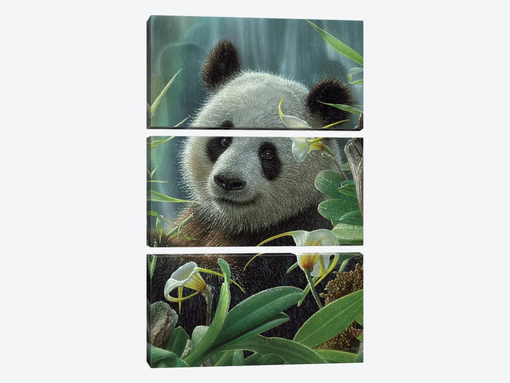 Tropical Panda Bear by Collin Bogle 3-piece Canvas Print