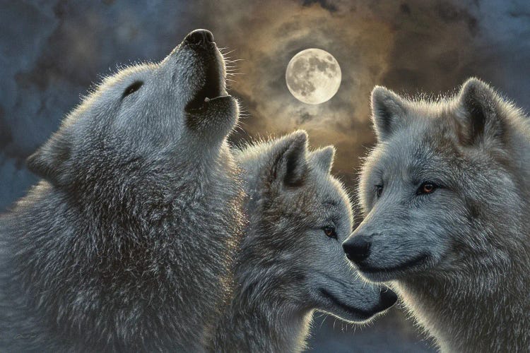 pack of wolves howling wallpaper