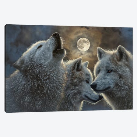Full Moon Wolves Canvas Print #CBO187} by Collin Bogle Art Print