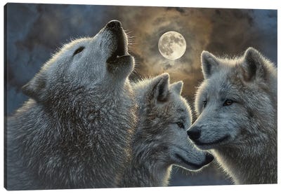 Full Moon Wolves Canvas Art Print - Collin Bogle