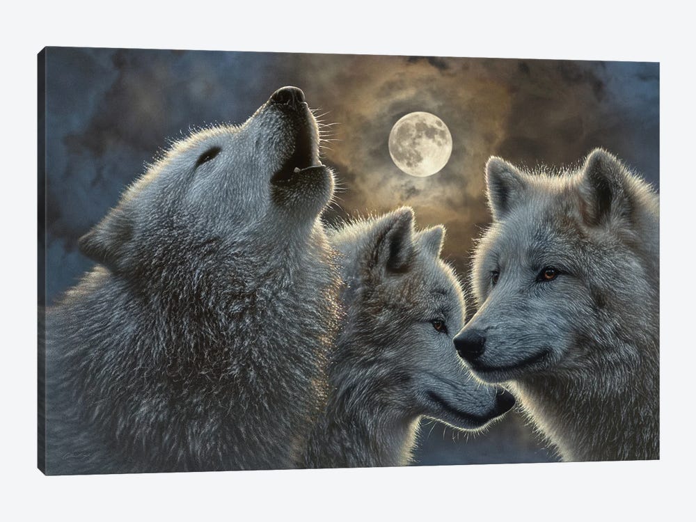 Full Moon Wolves by Collin Bogle 1-piece Canvas Wall Art
