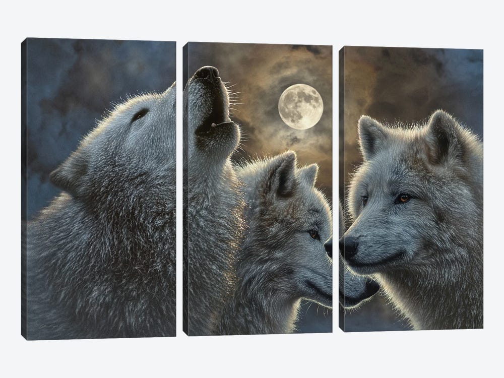 Full Moon Wolves by Collin Bogle 3-piece Canvas Wall Art