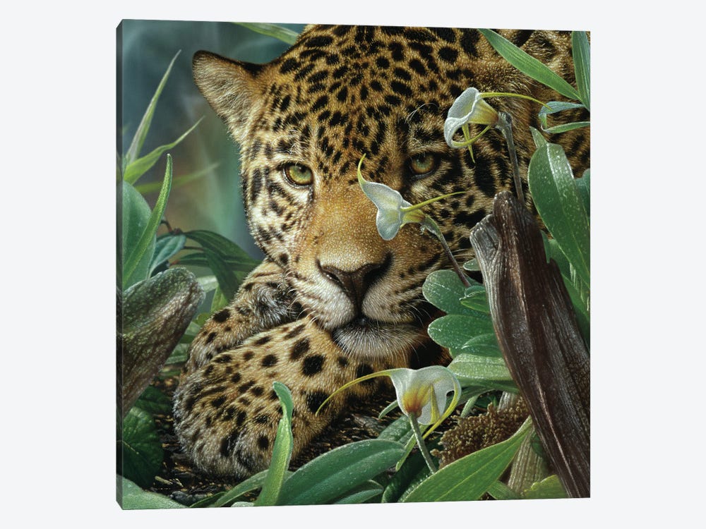 Jaguar Haven (Square) by Collin Bogle 1-piece Art Print