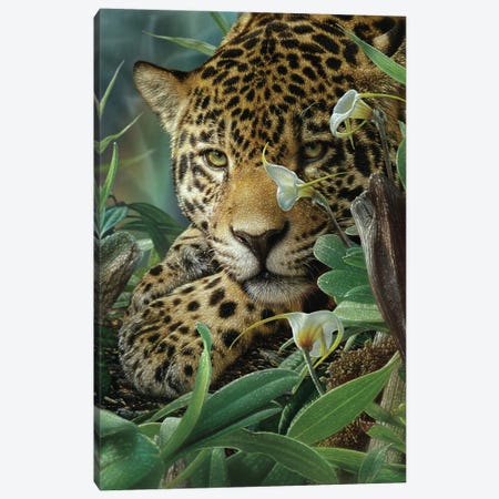 Jaguar Haven (Vertical) Canvas Print #CBO189} by Collin Bogle Canvas Wall Art