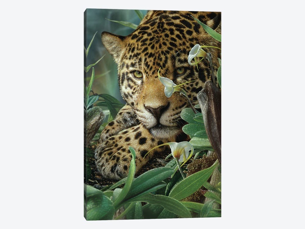 Jaguar Haven (Vertical) by Collin Bogle 1-piece Canvas Art
