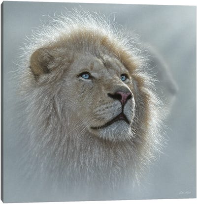 White Lion Portrait Canvas Art Print - Lion Art