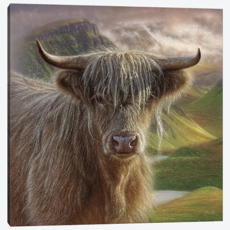 Butterscotch - Highland Cow Canvas Print #CBO194} by Collin Bogle Canvas Wall Art