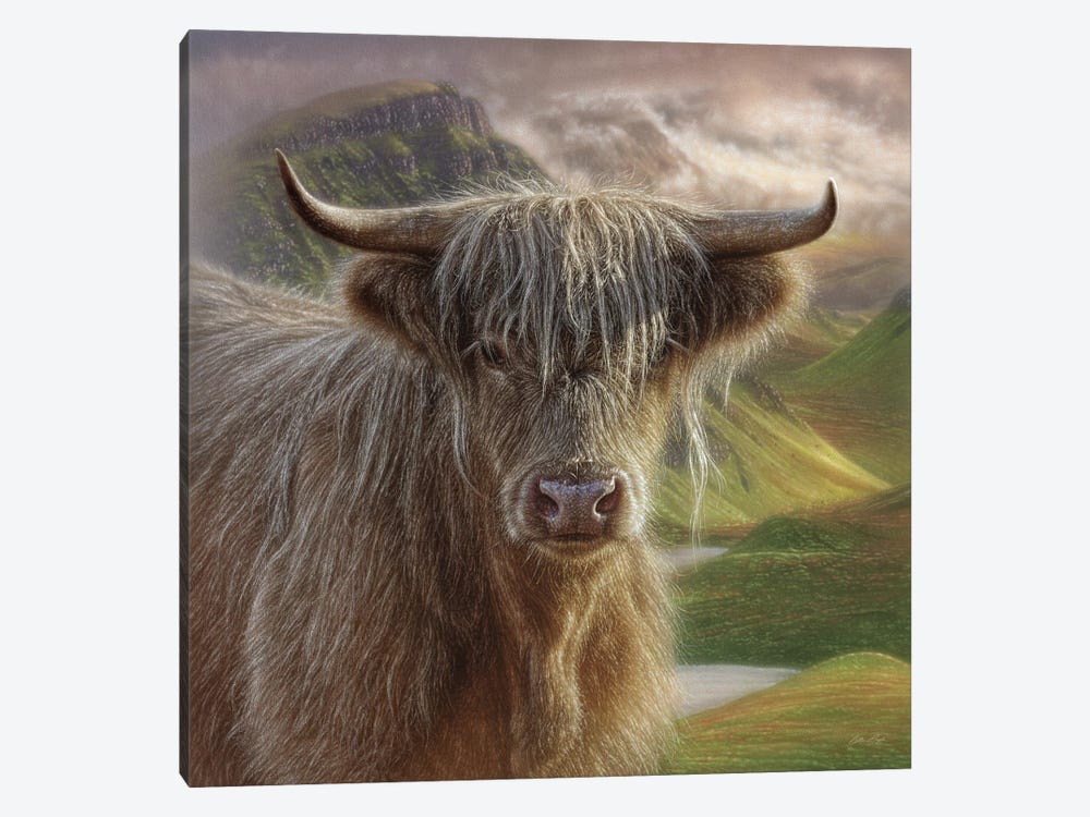 Butterscotch - Highland Cow by Collin Bogle 1-piece Canvas Wall Art