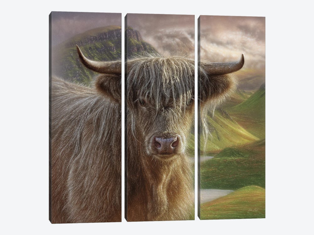 Butterscotch - Highland Cow by Collin Bogle 3-piece Canvas Artwork