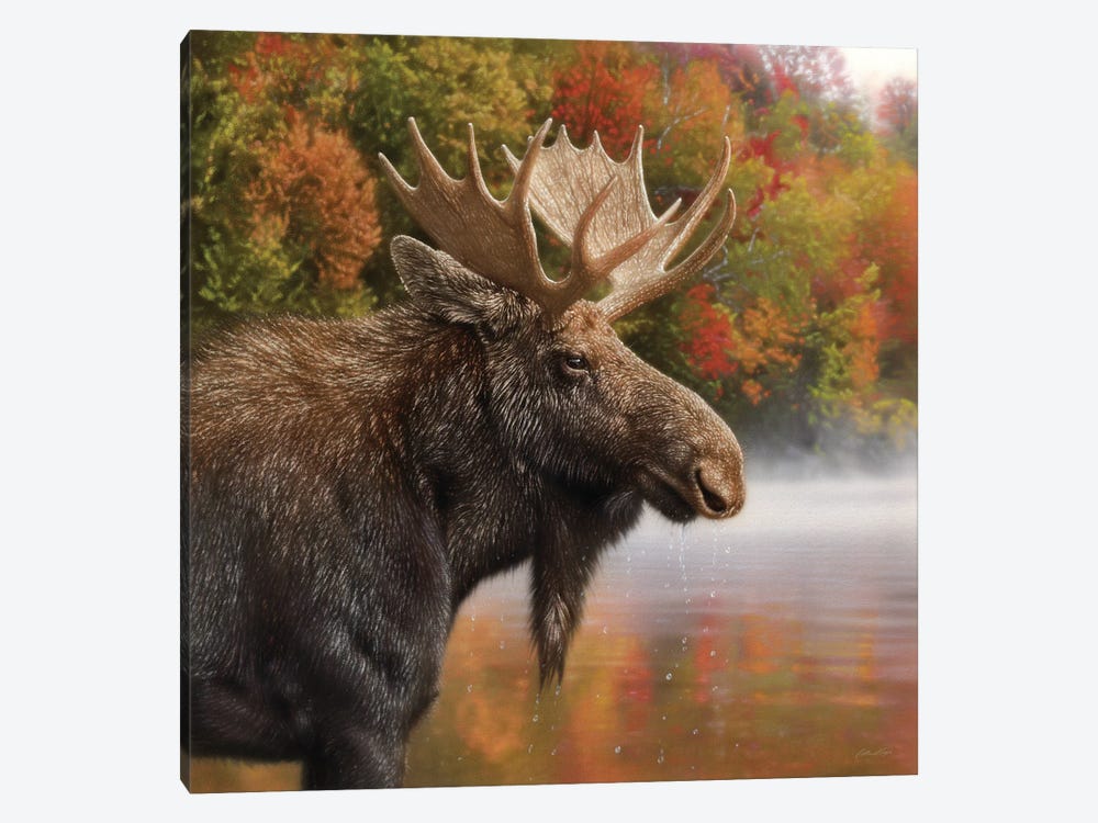 Autumn Moose by Collin Bogle 1-piece Art Print