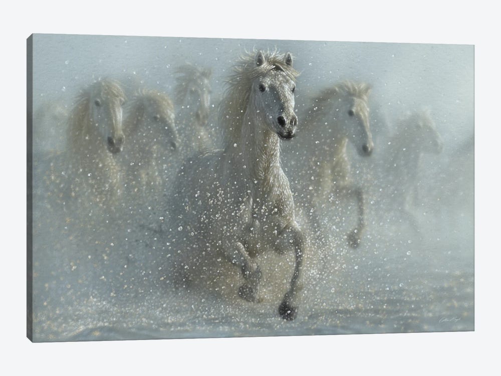 Running Wild - White Horses by Collin Bogle 1-piece Canvas Wall Art