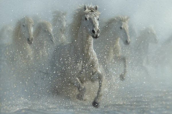 Shabby Chic Décor: Running Wild - White Horses by Collin Bogle
