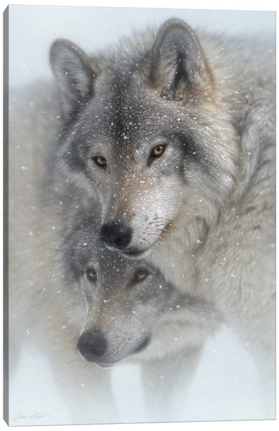 Wild Devotion - Gray Wolves Canvas Art Print - Rustic Décor