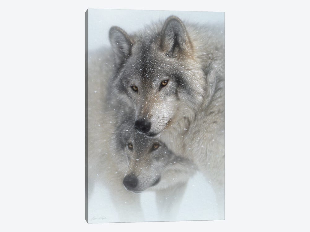 Wild Devotion - Gray Wolves by Collin Bogle 1-piece Art Print
