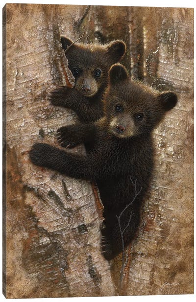 Curious Black Bear Cubs, Vertical Canvas Art Print - Wildlife Art