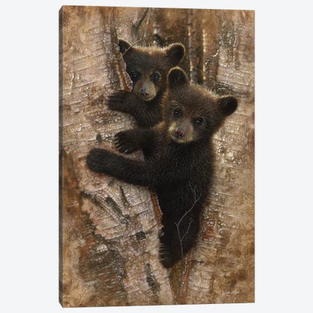 Curious Black Bear Cubs, Vertical Canvas Print #CBO19} by Collin Bogle Canvas Wall Art