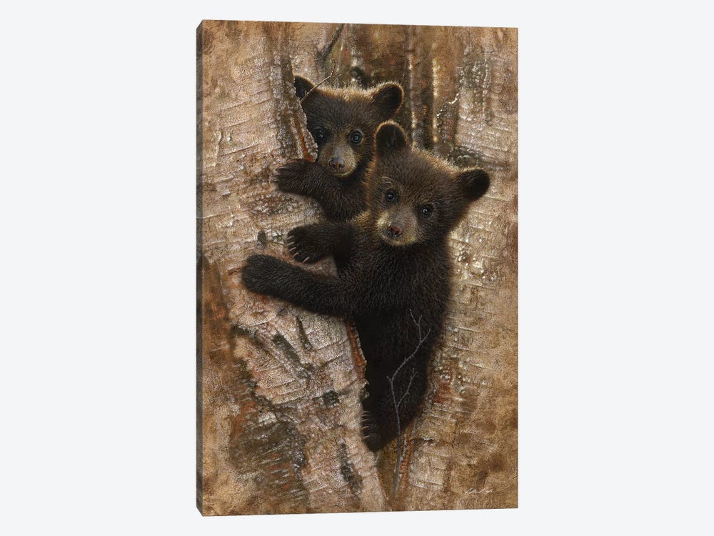 Curious Black Bear Cubs, Vertical by Collin Bogle 1-piece Canvas Print
